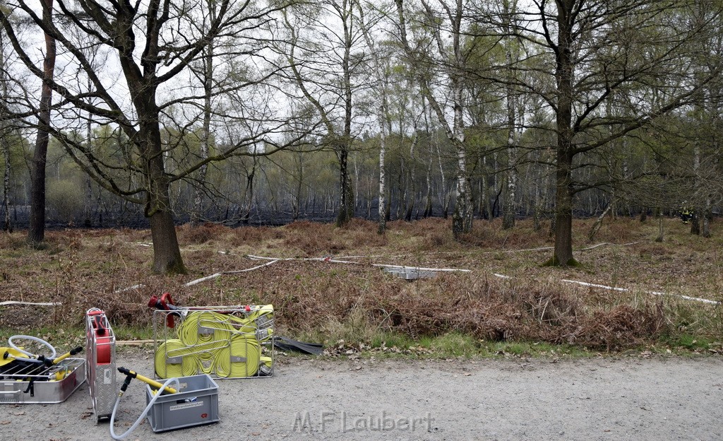 Waldbrand Wahner Heide Troisdorf Eisenweg P086.JPG - Miklos Laubert